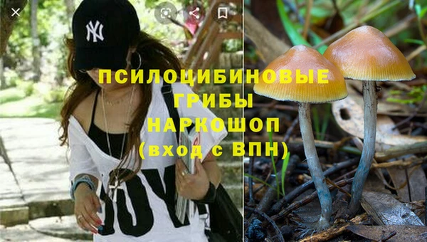 хмурый Балахна