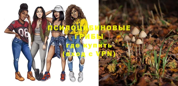 Альфа ПВП Баксан