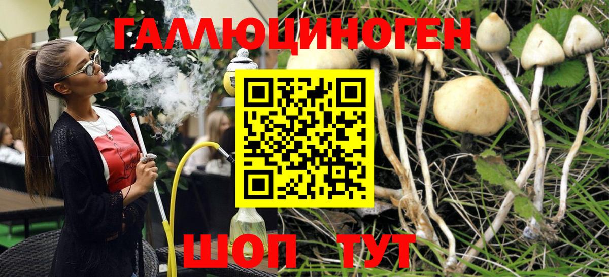 Краснокаменск  Псилоцибиновые грибы Magic Shrooms  Вход с VPN 